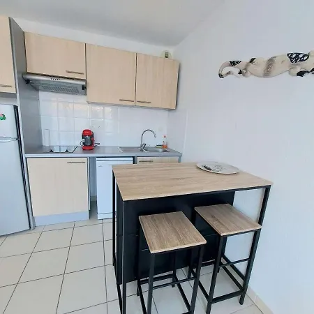 2 Pièces Avec Accès Direct Plage, Piscine Et Terrasse - - Fr-1-326-778 * Marseillan (Herault)