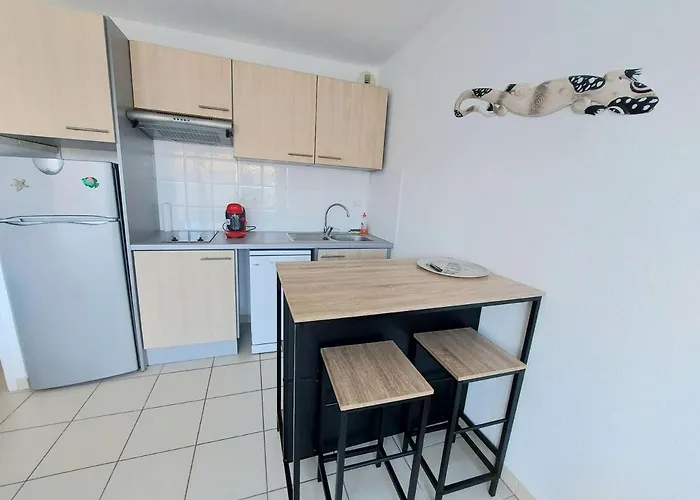 2 Pièces Avec Accès Direct Plage, Piscine Et Terrasse - - Fr-1-326-778 * Marseillan (Herault)