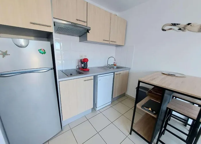 2 Pièces Avec Accès Direct Plage, Piscine Et Terrasse - - Fr-1-326-778 * Marseillan (Herault)